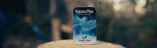 Chewing Wood May Boost Memory + Brain Antioxidants, study finds - Natura Pine