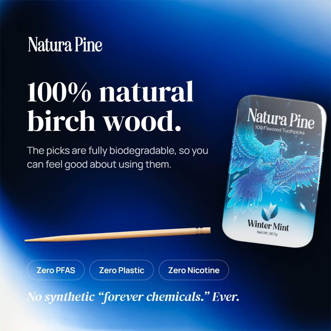 Winter Mint Flavored Toothpicks Tin