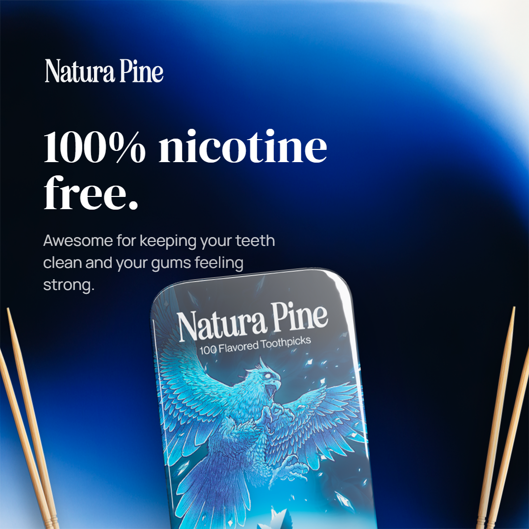 Winter Mint Flavored Toothpicks Tin