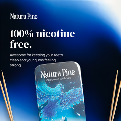 Winter Mint Flavored Toothpicks Tin