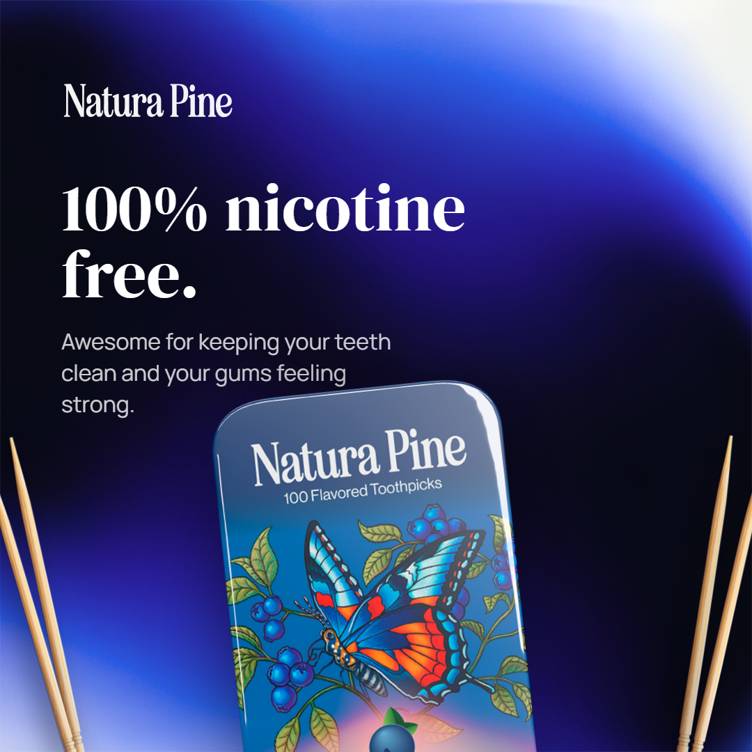 Summer Blueberry Flavored Toothpicks Tin