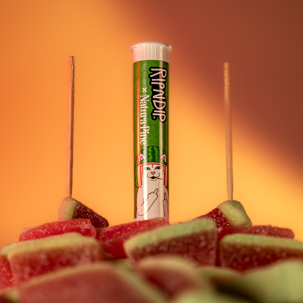 Sour Watermeowlon Flavored Toothpick Tube (Sour Watermelon)