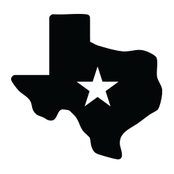 Born In Texas Brand | icon